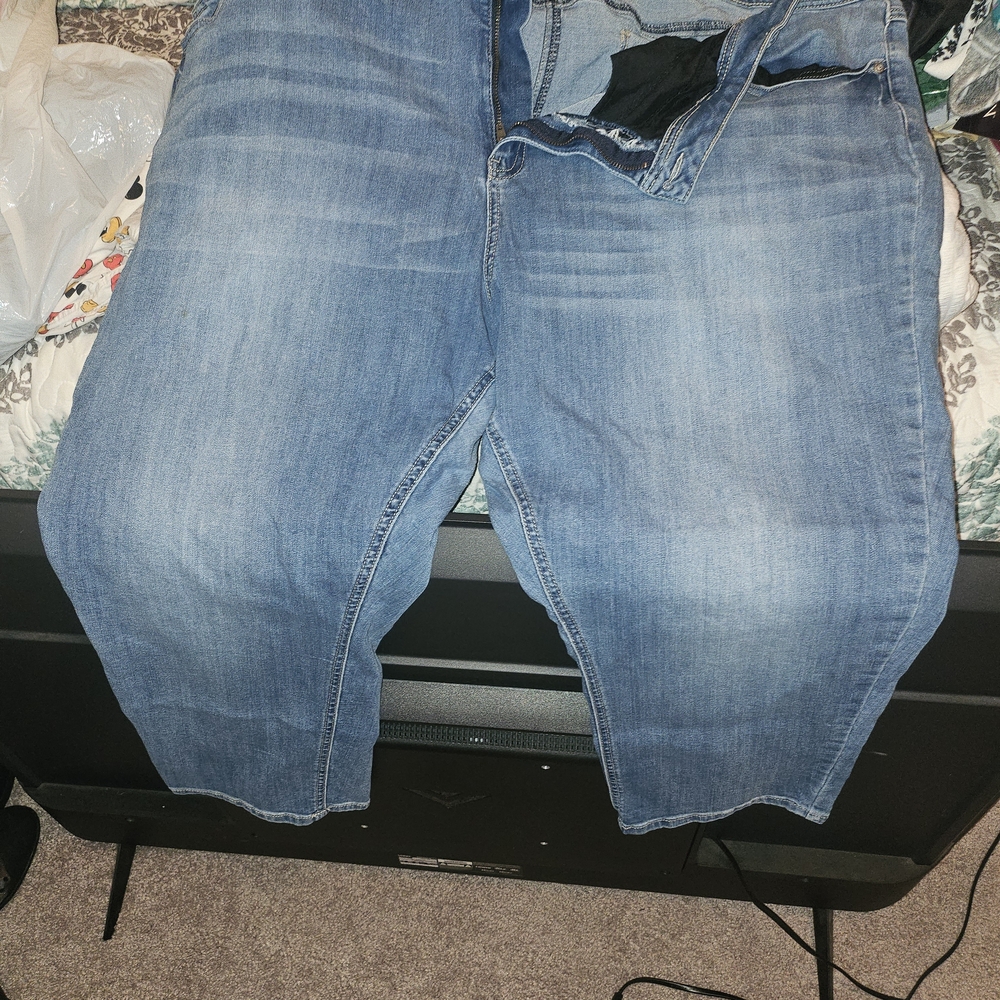 Lane Bryant Women's Blue Ankle Jeans